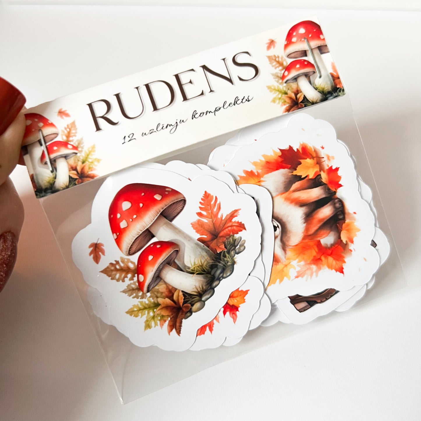 RUDENS uzlīmju komplekts 12gb. - Zelta Pūka