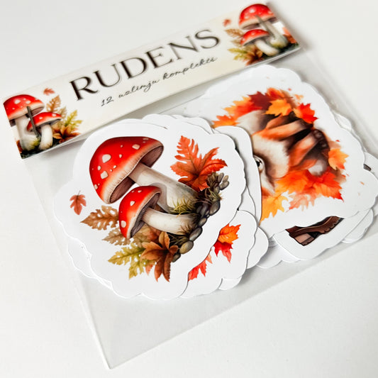 RUDENS uzlīmju komplekts 12gb. - Zelta Pūka