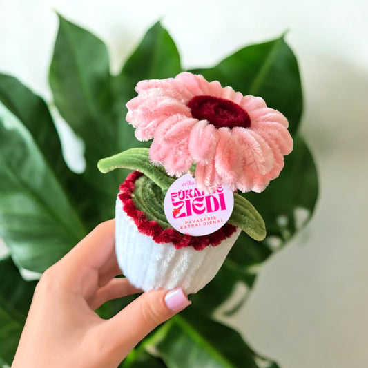 Dāvanu komplekts PINK DAISY